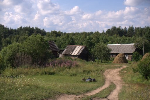Деревня Бестолковица