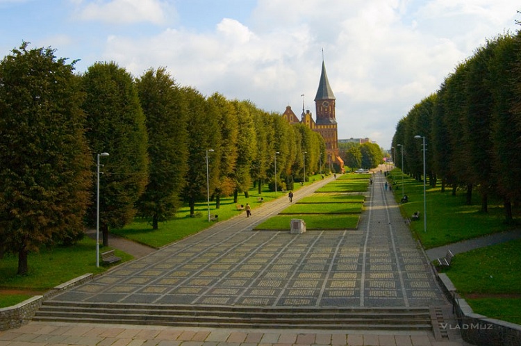 Вид на Кафедральный собор в Калининграде с моста