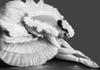 4 января 1908 года в Петербурге, на сцене Мариинского театра, звезда русского балета Анна Павлова (1881–1931) в благотворительном концерте впервые исполнила поставленную для нее Михаилом Фокиным (1880