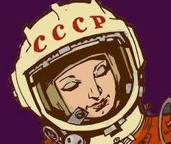 Всем известно, что первой женщиной, побывавшей в космосе, была Терешкова Валентина Владимировна, отправившаяся в невесомость на корабле "Восток-6". Полет состоялся в 1963 году.
Однако некоторые люди с