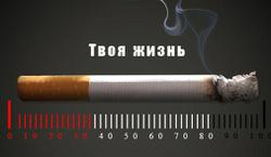 31 мая отмечается Всемирный день без табака. В этом году его тема – вмешательство табачной индустрии. Всемирная организация здравоохранения считает, что табачные компании ведут откровенную и все более